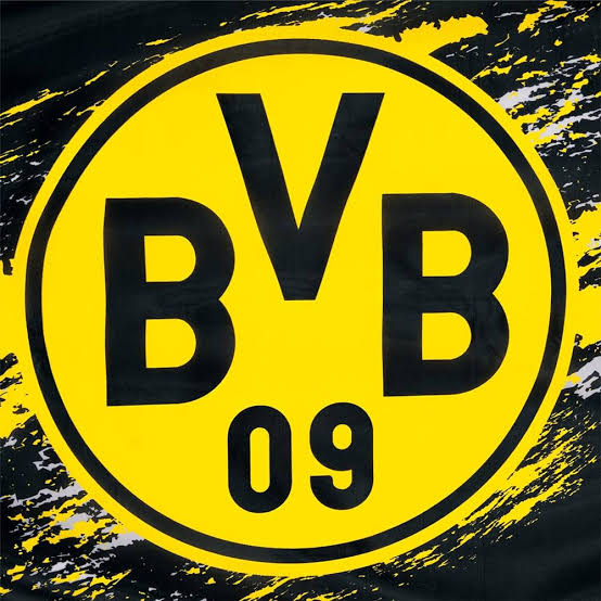 Borussia Dortmund pfp