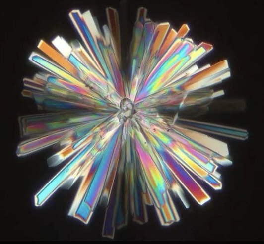 amehi0index  (amehi0index) Farcaster social identity (Fname handle) PFP