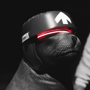catra ↑ pfp