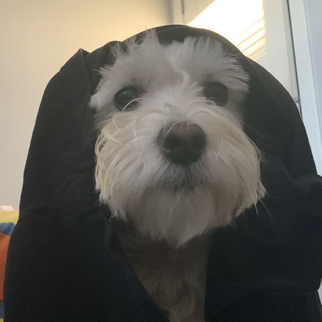 firefly-account-banner