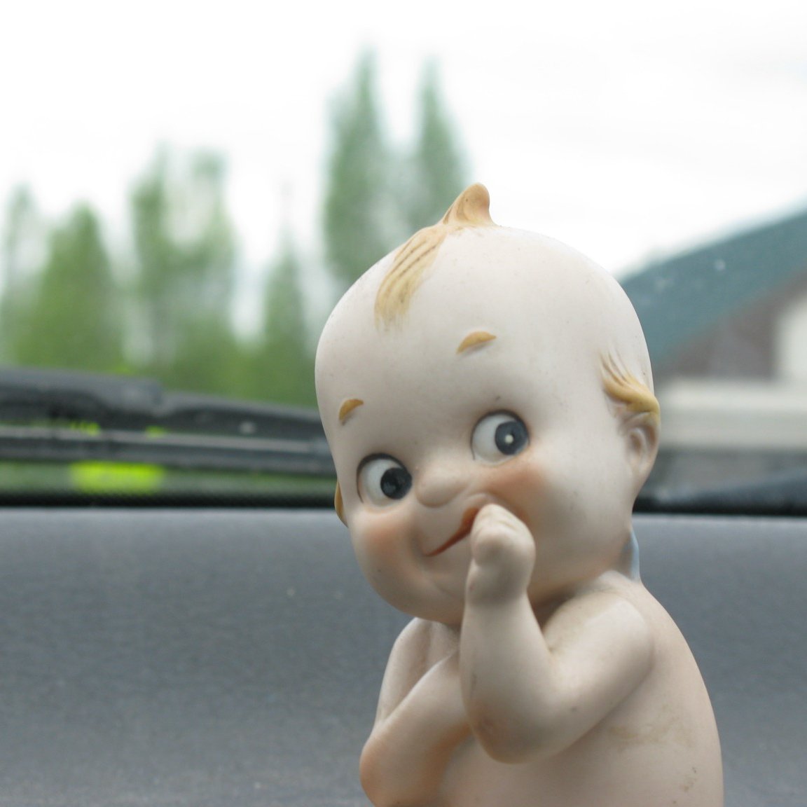 firefly-account-banner