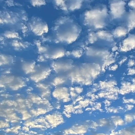 firefly-account-banner