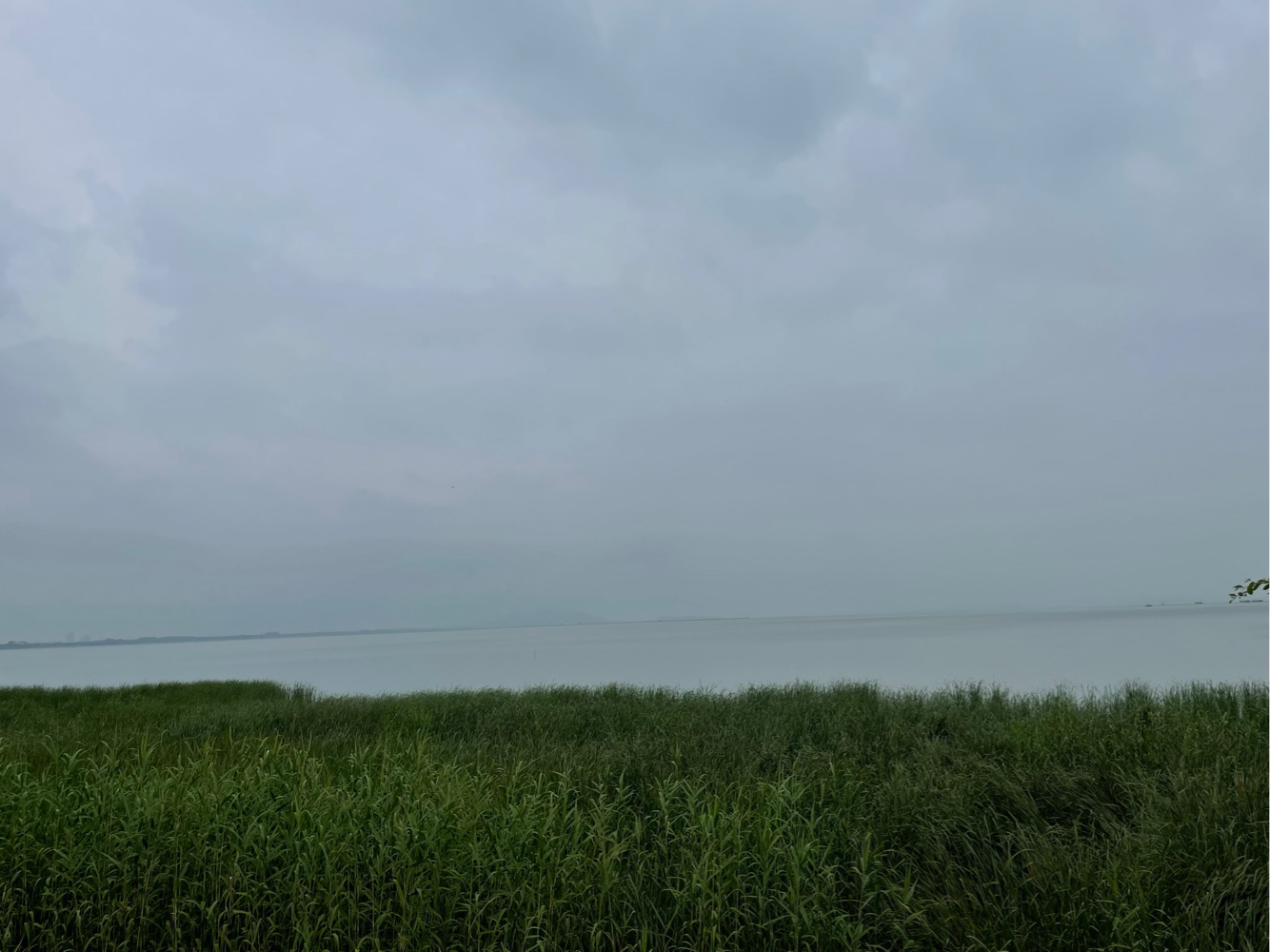 firefly-account-banner