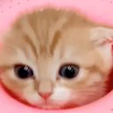 firefly-account-banner