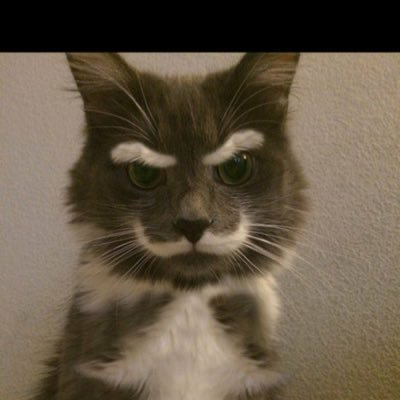 firefly-account-banner