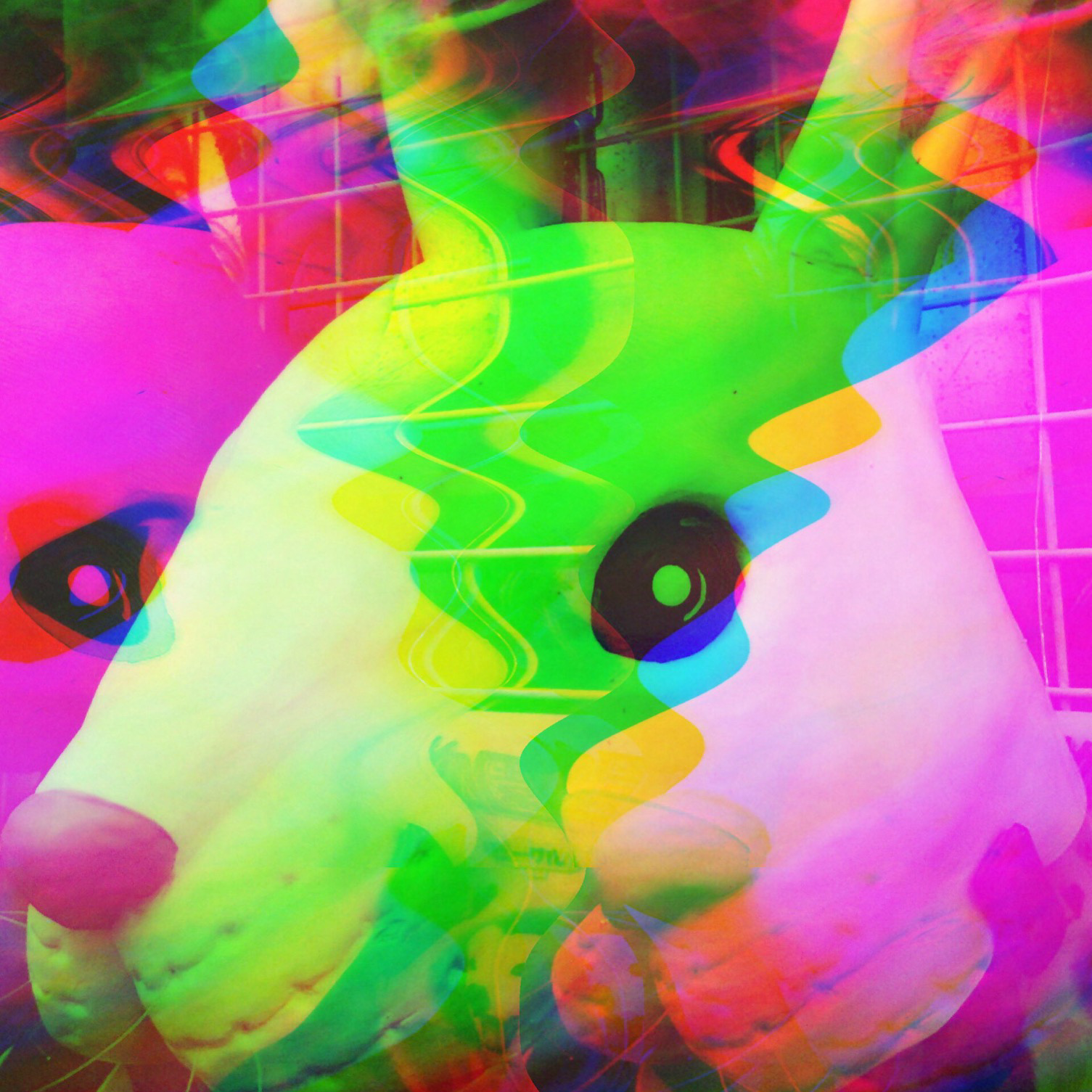 ♡u∫agi幻覚∀∁ⓛᙌ✬'s Lens avatar