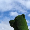 firefly-account-banner