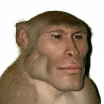 firefly-account-banner