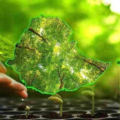 firefly-account-banner