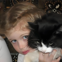 firefly-account-banner