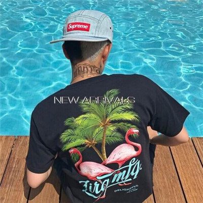 firefly-account-banner