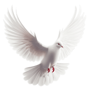 firefly-account-banner