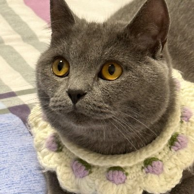 firefly-account-banner