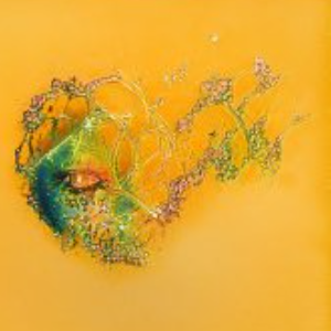 firefly-account-banner