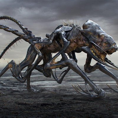 firefly-account-banner