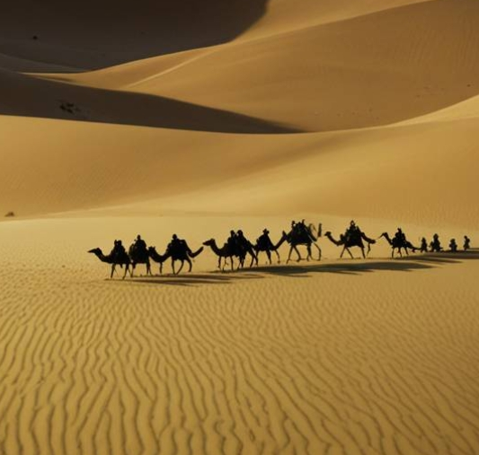 firefly-account-banner