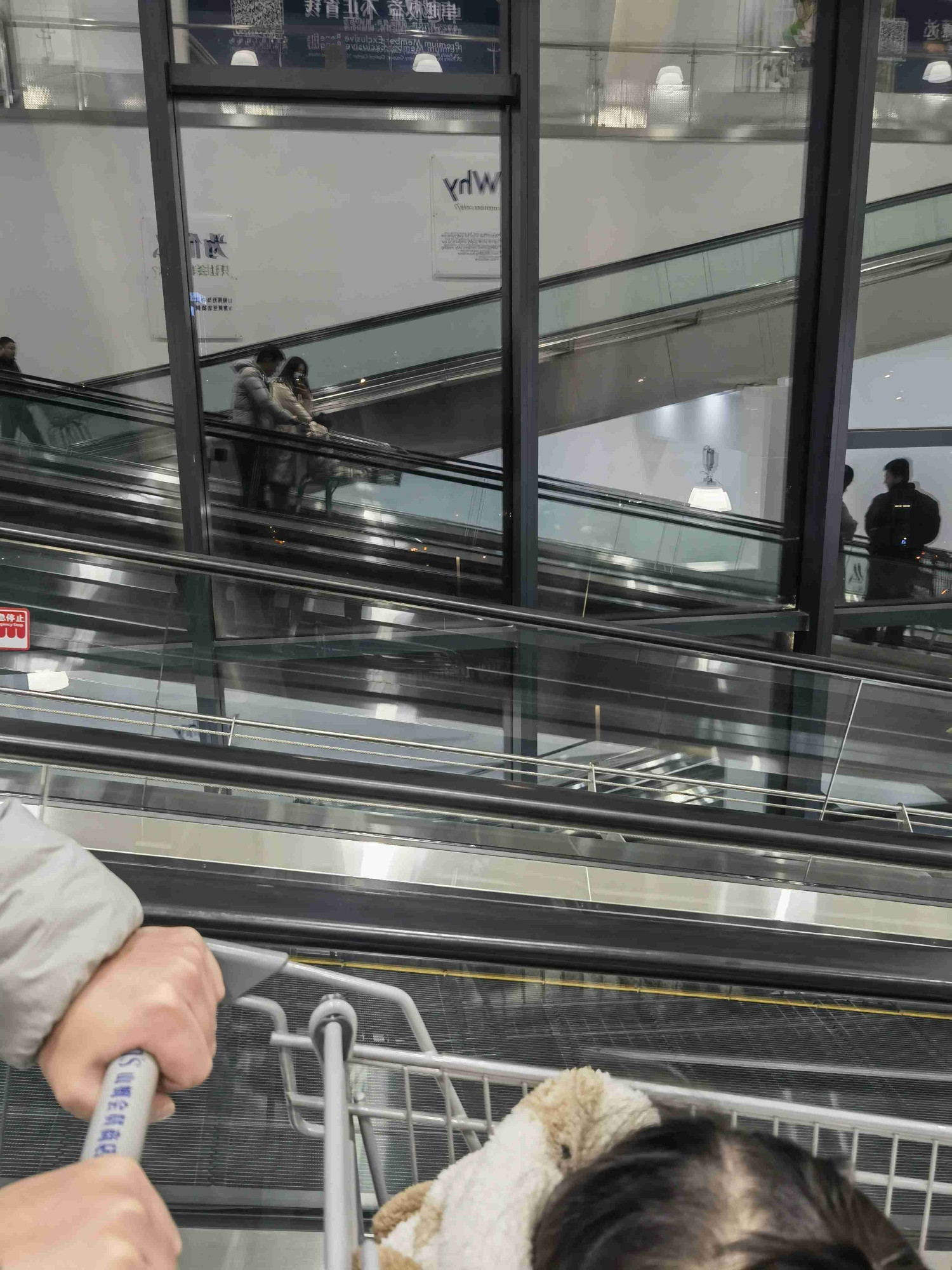 firefly-account-banner