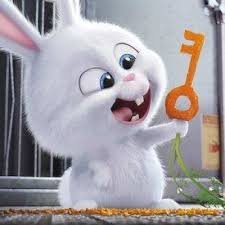 firefly-account-banner