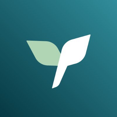 firefly-account-banner