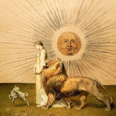 firefly-account-banner