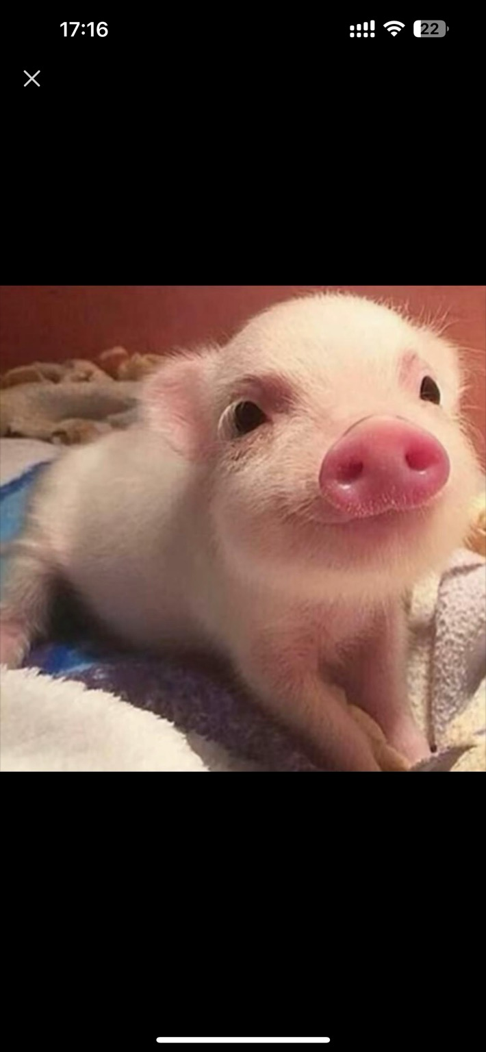 firefly-account-banner