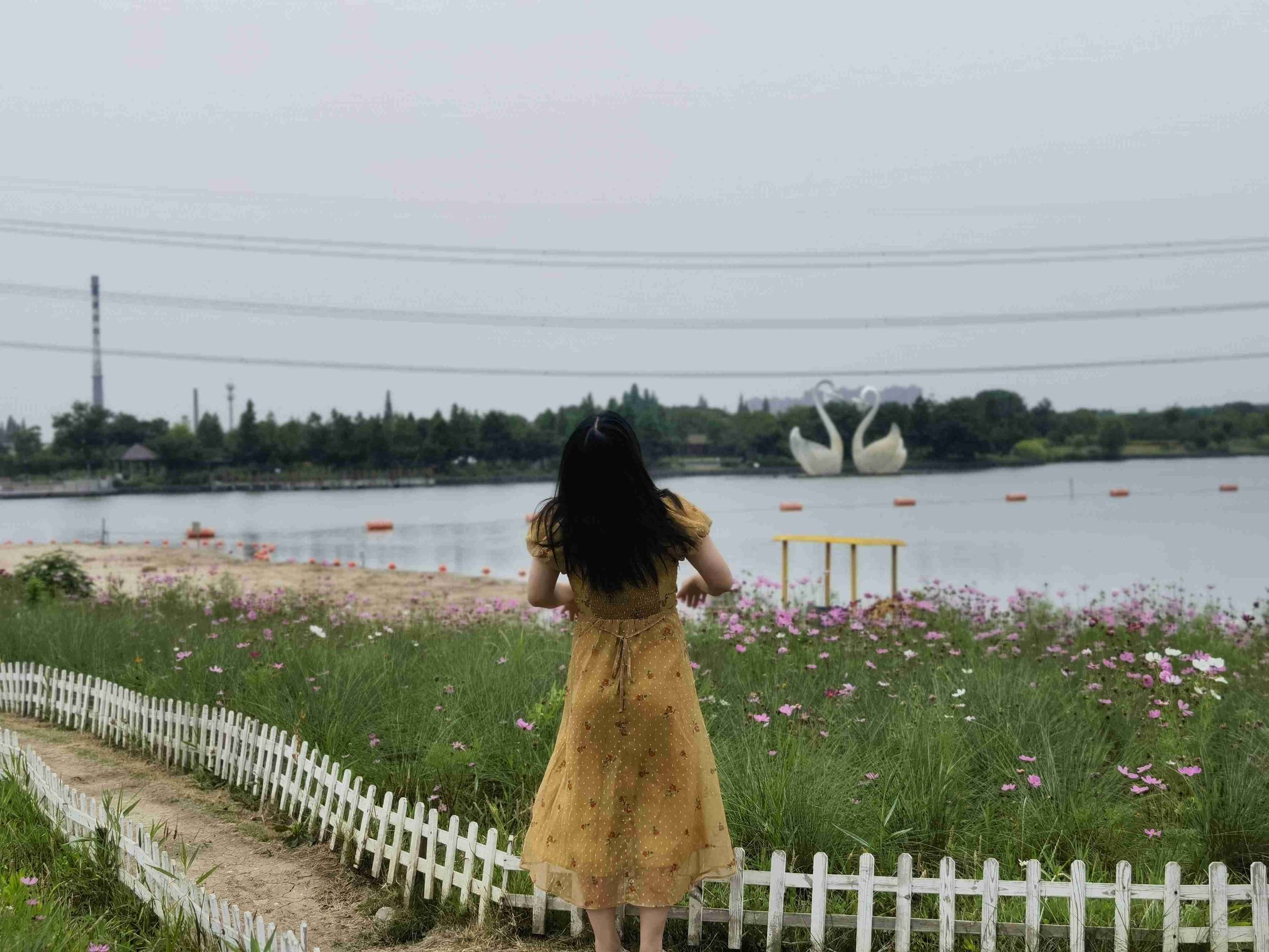 firefly-account-banner