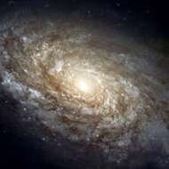 firefly-account-banner