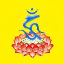 firefly-account-banner